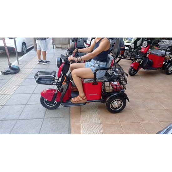 Ηλεκτρικό Τρίκυκλο Βοηθητικό Όχημα